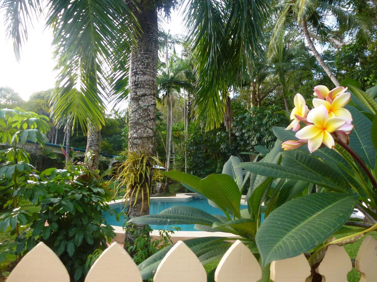 Villa Marine Holiday Apartments Cairns Yorkeys Knob Esterno foto